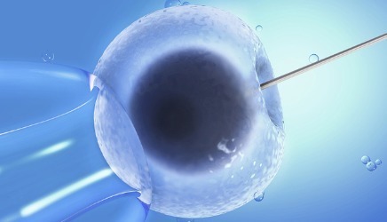 孕妈供卵代怀助孕咨询微信群生殖医学中心