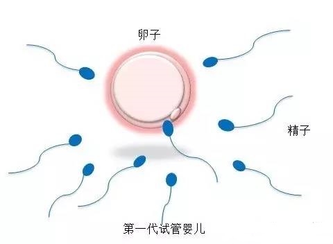 生殖科主任